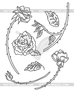 Line art set of roses flowers - vector image