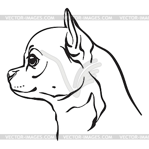 Chihuahua dog - vector clipart