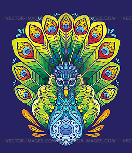 Peacock - vector image