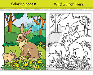 Coloring book page and color template hare - vector image