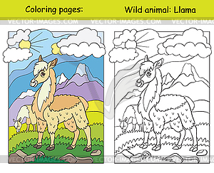 Coloring book page and color template llama - vector EPS clipart