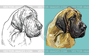 Portrait of cute dog Great Dane - vector image