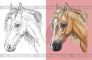 Portrait of beautiful welsh pony - vector image