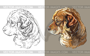 Portrait of cute funny dog Caucasian Shepherd - vector image
