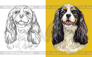 Portrait of cute funny dog Cavalier King Charles - vector clipart