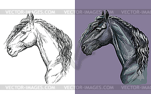 Portrait of black Friesian horse - vector image