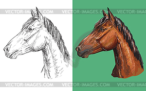 Portrait of clever chestnut horse - vector image