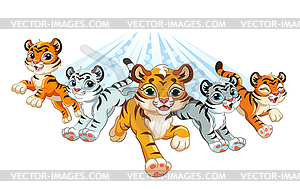 Cute brave white and orange tigers running forward - vector clipart