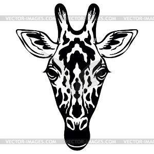 Head of mascot giraffe head - vector clip art