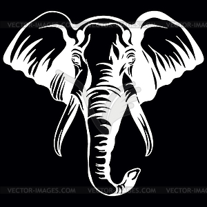 Head of mascot elephant head on black - vector clip art