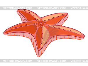 Funny cartoon red starfish - vector image