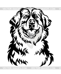 Bernese mountain dog black contour portrait - vector image