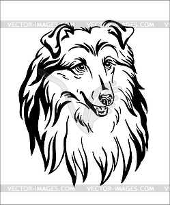 Collie dog black contour portrait - vector clipart