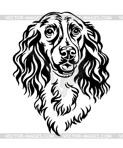 Spaniel dog black contour portrait - vector clipart