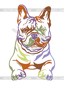 French bulldog color contour portrait - vector image