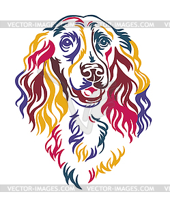 Spaniel dog color contour portrait - vector clipart