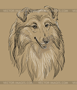 Колли собака рука рисунок коричневый - векторизованное изображение клипарта
