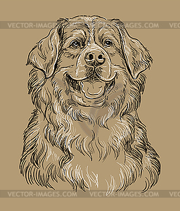 Bernese mountain dog hand drawing brown - vector clipart