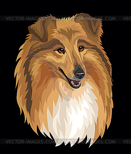 Collie dog color - royalty-free vector clipart