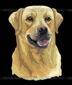 Лабрадор ретривер собака окраса - клипарт в векторном виде