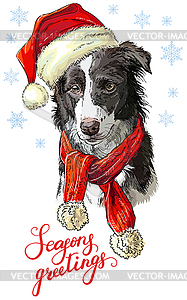 Christmas dog border collie - vector clip art