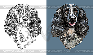 Ручной рисунок собака спаниель монохромный и цветной - векторизованное изображение