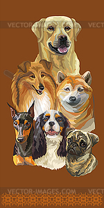 Vertical poster of different dogs breeds bro - vector image