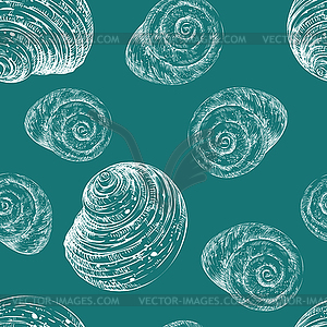 Seamless pattern white seashells turquoise - vector image