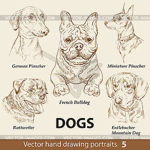 Set of hand drawing dogs part  - vector clipart