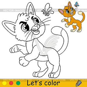 Cartoon cat with butterfly coloring book page - vector image