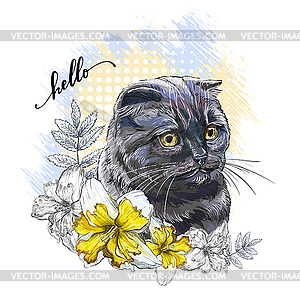 Scottish fold cat and daffodil flowers - vector image