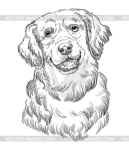 Golden Retriever hand drawing dog - vector EPS clipart