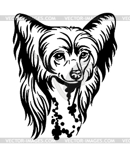 Chinese Crested dog black contour portrait - white & black vector clipart