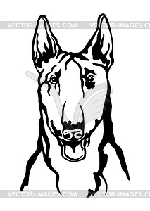 Bull Terrier dog black contour portrait - vector clipart / vector image