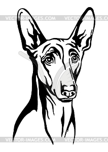 Pharaon dog head black contour portrait - vector clipart