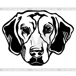 Abstract portrait of beagle dog black contour - vector clipart