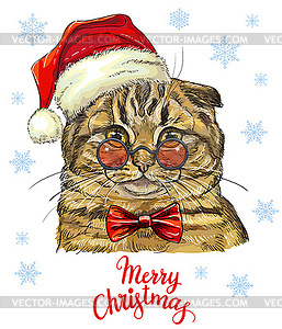 Funny Scottish Fold cat in christmas hat - vector clipart
