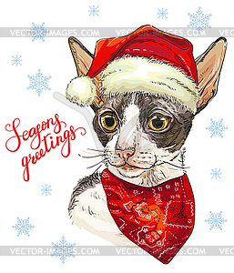 Funny christmas cornish rex cat in hat - vector image