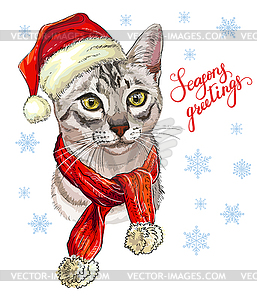 Кот в рождественской шляпе, шарфе и снежинках - стоковое векторное изображение