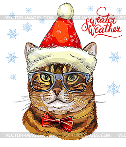 Кот в рождественской шляпе, шарфе и снежинках - векторное изображение