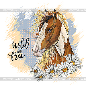 Portrait of pinto horse and camomiles - vector image