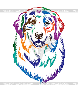 Australian Shepherd dog abstract color portrait - stock vector clipart