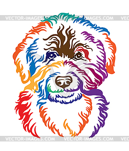 Barbet dog abstract color portrait - vector clip art