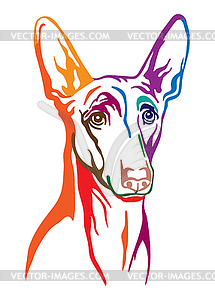 Pharaon dog abstract color portrait - vector clipart