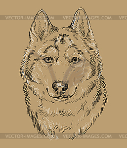 Сибирский хаски ручной рисунок собаки коричневого цвета - клипарт в векторном виде