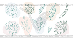 Abstract design elements set of contour exotic - vector clipart