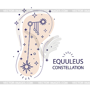 Star constellation Equuleus - vector clip art