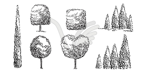 Set of hand drawing trees - vector clipart