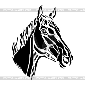Profile view horse head silhouette - vector image