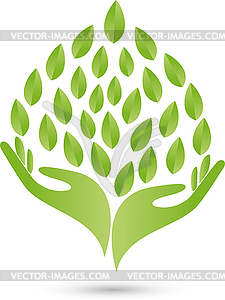 Logo, Two Hands, leaves, Naturopaths - vector image